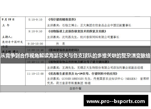 从竞争到合作视角解读海瑟尔关与各支球队的多维关联的复杂演变脉络