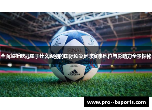 全面解析欧冠属于什么级别的国际顶尖足球赛事地位与影响力全景探秘