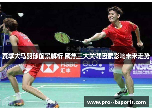 赛季大马羽球前景解析 聚焦三大关键因素影响未来走势