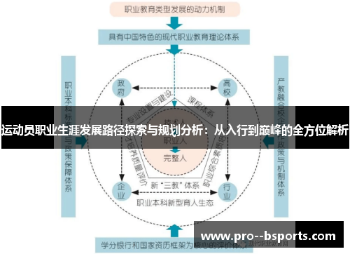 运动员职业生涯发展路径探索与规划分析：从入行到巅峰的全方位解析