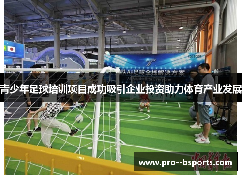 青少年足球培训项目成功吸引企业投资助力体育产业发展
