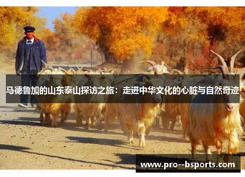 马德鲁加的山东泰山探访之旅：走进中华文化的心脏与自然奇迹