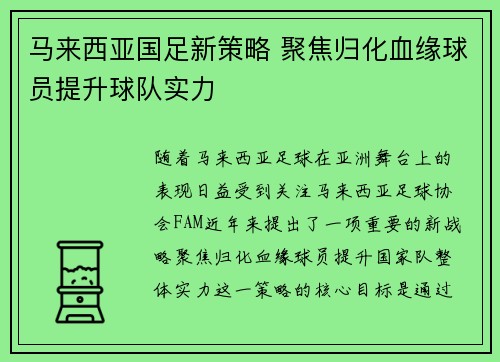 马来西亚国足新策略 聚焦归化血缘球员提升球队实力